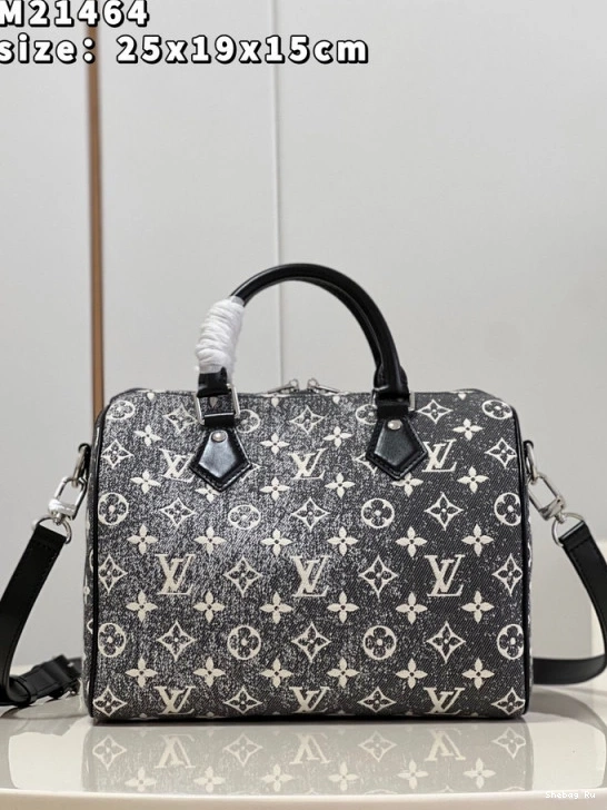 25 BANDOULIÈRE SPEEDY LOUIS VUITTON 0807